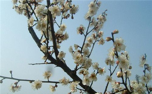 每年氣溫什么時(shí)候回升 全國氣溫快速回升怎么回事
