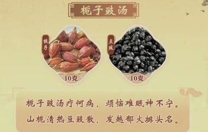 栀子豉汤
