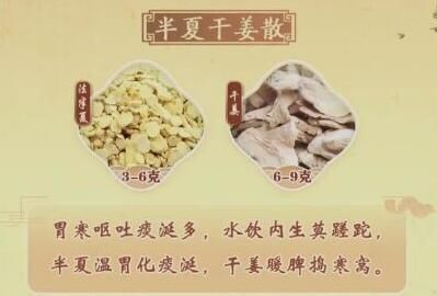 半夏干姜散
