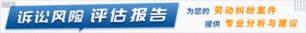 劳动纠纷诉讼风险评估服务