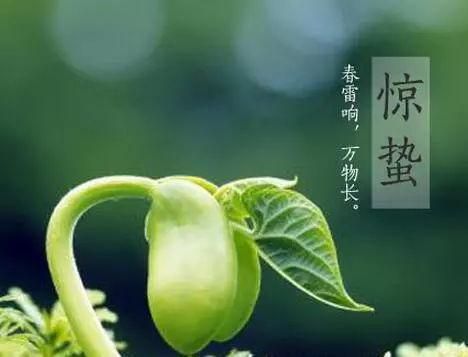 惊蛰生阳百病消，几招叫您快速生阳—家中不落太阳恩鹏能量养生舱