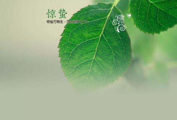 惊蛰生阳百病消，几招叫您快速生阳—家中不落太阳恩鹏能量养生舱