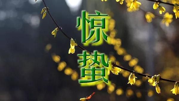惊蛰生阳百病消，几招叫您快速生阳—家中不落太阳恩鹏能量养生舱