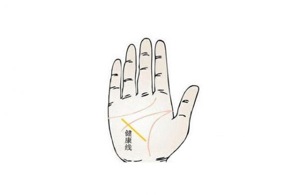 認(rèn)識(shí)手相健康線