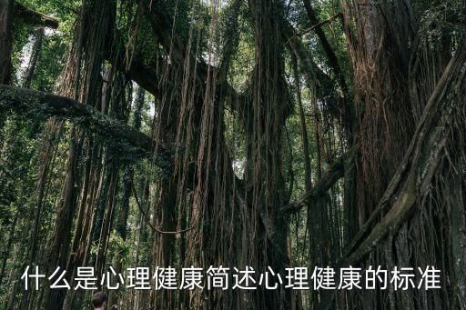 什么是心理健康簡述心理健康的標(biāo)準(zhǔn)