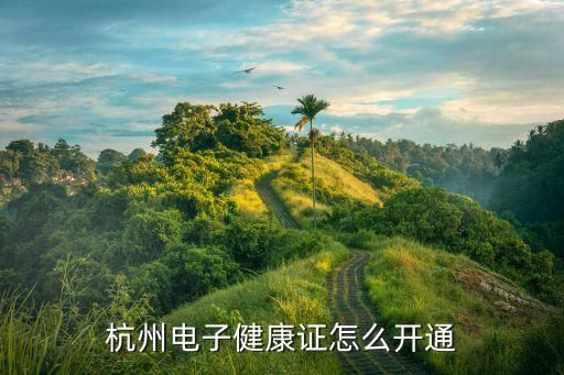 杭州電子健康證怎么開通