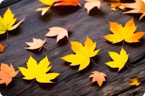 4班3倒是什么意思 四班三倒是怎么倒的