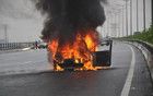 徐聞一SU7撞死兩人后肇事逃逸，車輛起火燃燒