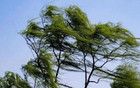 最新：山西最强风力出现在11日夜间、12日白天