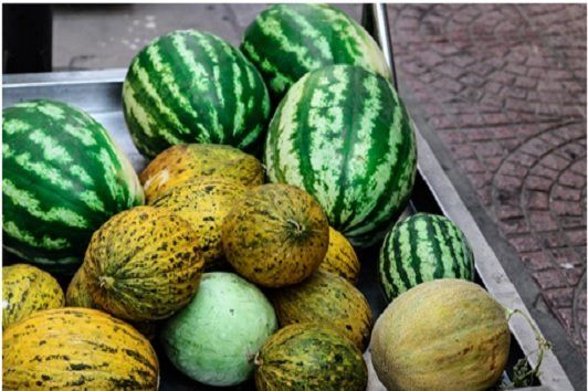 Melons & Gourds