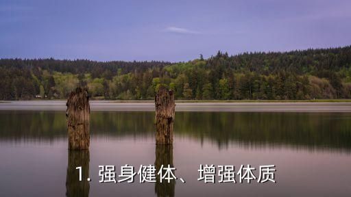 1. 强身健体、增强体质