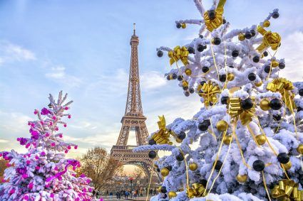 Paris and the Eiffel Tower in winter