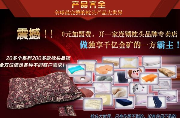 威枕八方枕頭投資分析_1