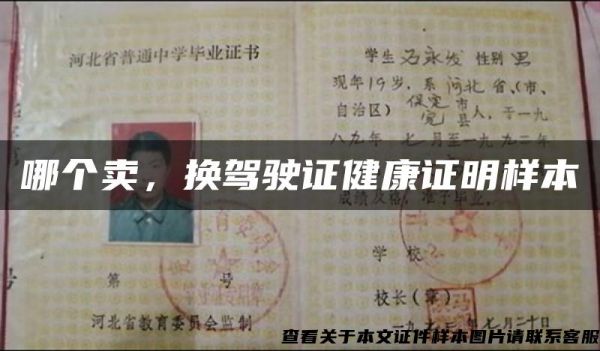 哪個賣，換駕駛證健康證明樣本