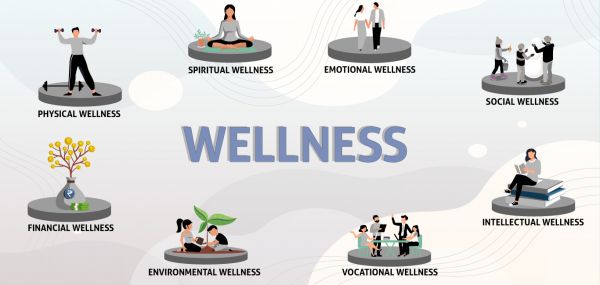 9 Dimensions Of Wellness Health Services The University Of Texas At
