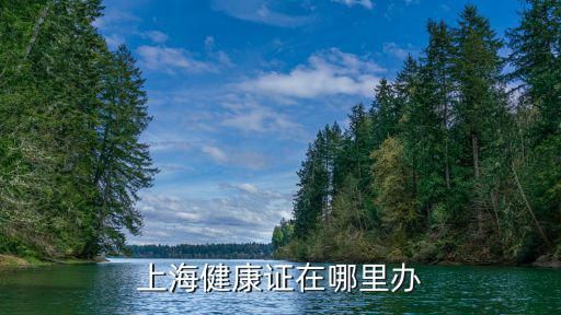 上海健康證在哪里辦
