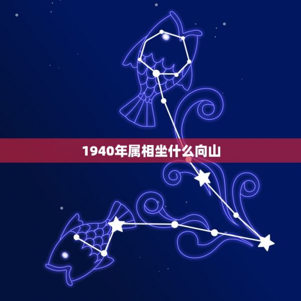 1940年属相坐什么向山，1940年属龙的去逝要葬什么山最挂？ 第1张