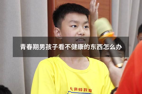 青春期男孩子看不健康的東西怎么辦