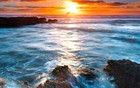 大風(fēng)沒來，卻吹來了特朗普的口風(fēng)——馬斯克將離職？