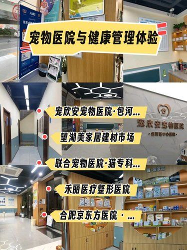 帶著毛孩子體檢的一天