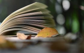 211大学最新排名一览表(116所)