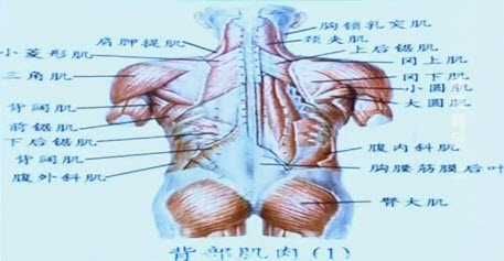 腰肌勞損