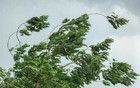 130斤記者被吹飛瞬間：你的體重能抗幾級風(fēng)？