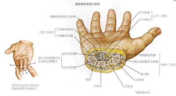 图1.jpg
