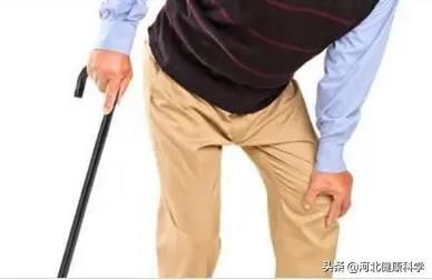正確健步走，走出健康路