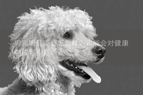 狗狗喝红酒会怎么样?可能会对健康造成哪些影响?