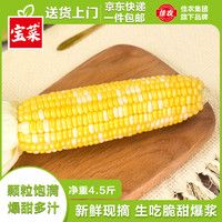 佳农 宝菜云南新鲜金银水果玉米可生吃单根200g以上净重4.5斤源头直发