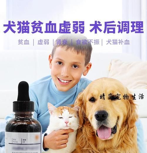 如何保護(hù)寵物腎臟健康（從飲食、運(yùn)動到定期檢查，呵護(hù)寵物腎臟健康）
