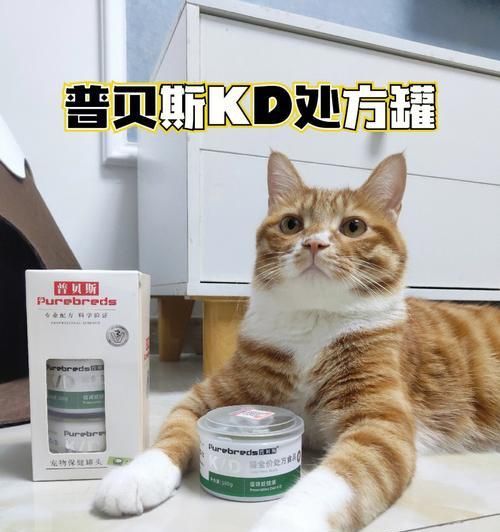 如何保護(hù)寵物腎臟健康（從飲食、運(yùn)動到定期檢查，呵護(hù)寵物腎臟健康）