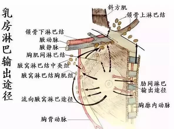 想要健康，這三點(diǎn)很關(guān)鍵！