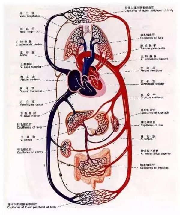 想要健康，這三點(diǎn)很關(guān)鍵！