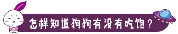 狗狗一天要吃多少粮食？喂食的最佳时间是什么时候，你知道吗？​