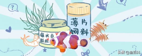 观赏鱼多久喂一次食，三天喂一次可以吗 