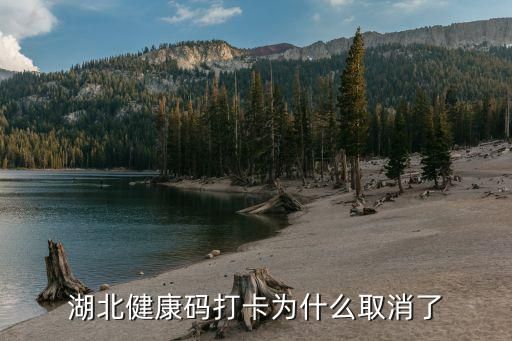 湖北健康码打卡为什么取消了