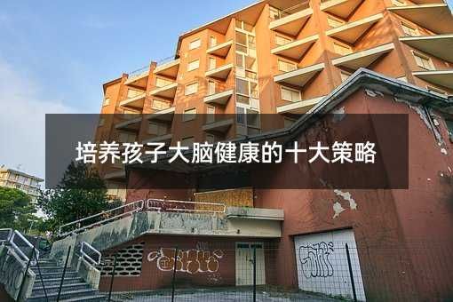 培養(yǎng)孩子大腦健康的十大策略