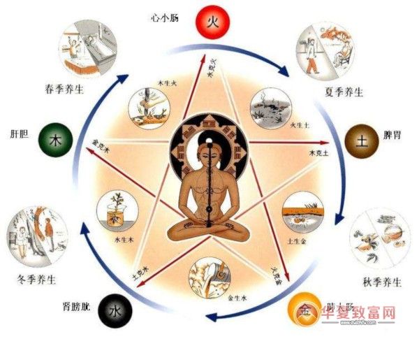 健康養(yǎng)生加盟