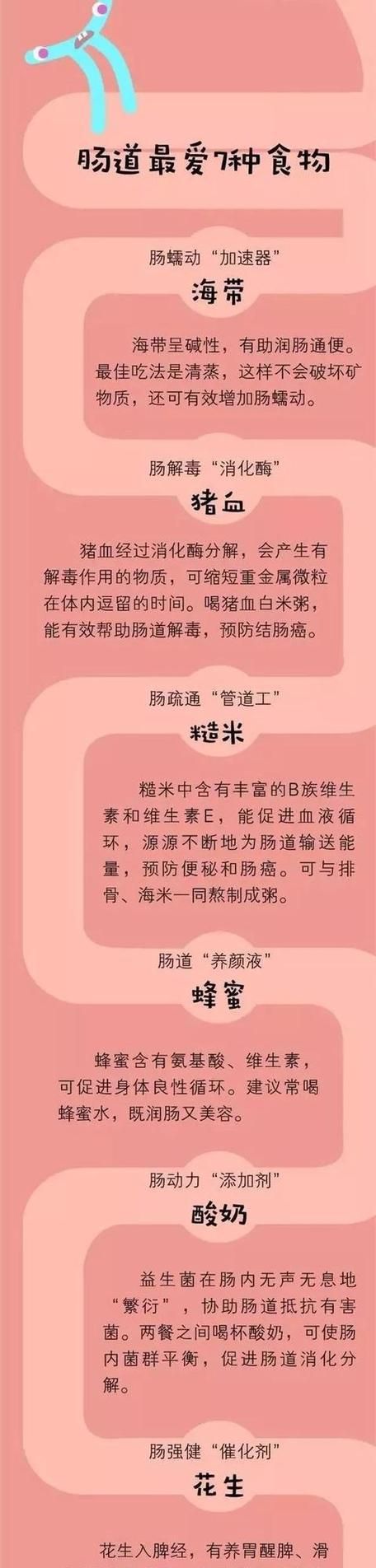 如何改善腸道健康？7種有效方法助你一臂之力？ 第1張