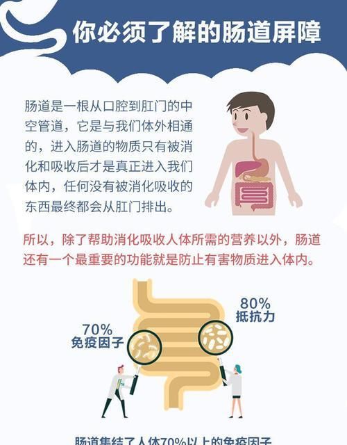 如何改善腸道健康？7種有效方法助你一臂之力？ 第3張