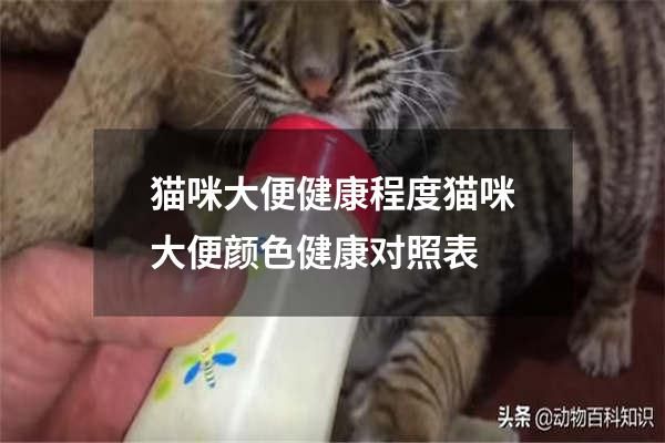 貓咪大便健康程度貓咪大便顏色健康對照表