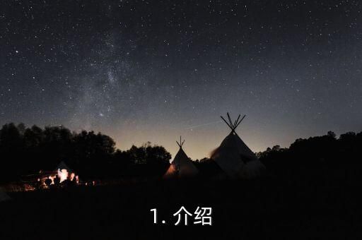 1. 介绍