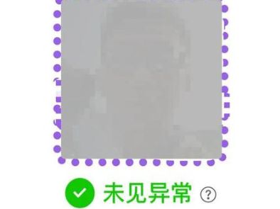 北京健康码紫色什么意思 北京健康宝如何提供行程记录信息