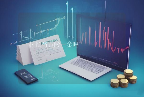 村長有五險(xiǎn)一金嗎