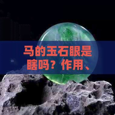 马的玉石眼是瞎吗？作用、视力、是否会瞎及对马匹健康的影响