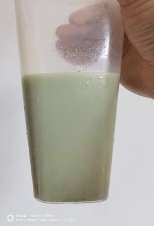 薄荷奶綠健康版的做法 步驟3