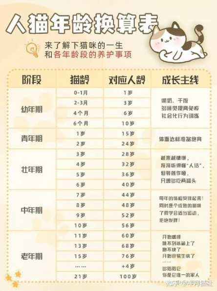 猫咪永久是什么意思？如何确保猫咪健康长寿？-第1张图片-5440游戏网