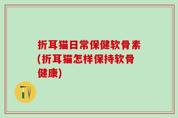 折耳猫日常保健软骨素(折耳猫怎样保持软骨健康)
